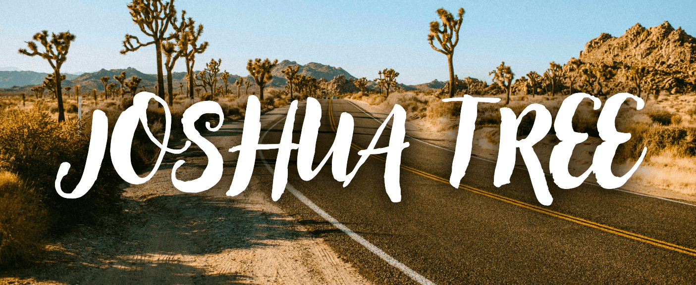 Joshua Tree
